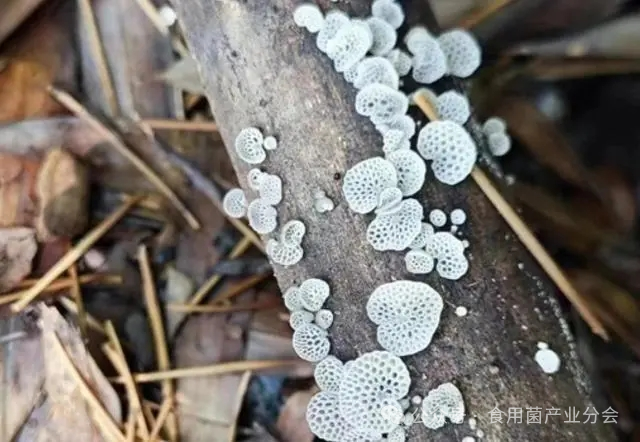 圖片關鍵詞 圖片關鍵詞