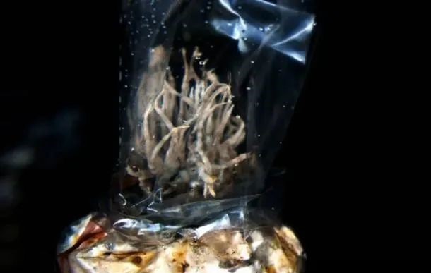 圖片關(guān)鍵詞 圖片關(guān)鍵詞