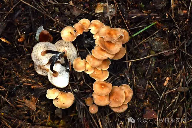 圖片關(guān)鍵詞 圖片關(guān)鍵詞