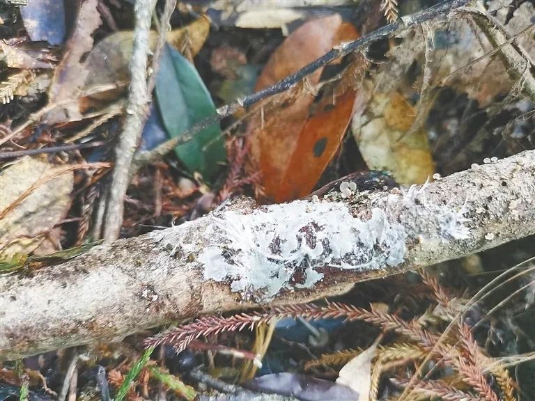 圖片關(guān)鍵詞 圖片關(guān)鍵詞