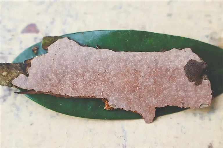 圖片關(guān)鍵詞 圖片關(guān)鍵詞