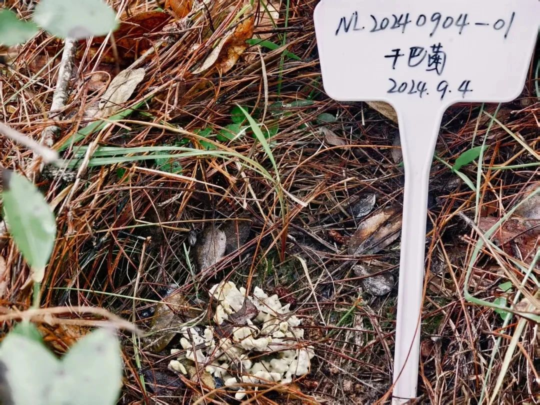 圖片關鍵詞 圖片關鍵詞