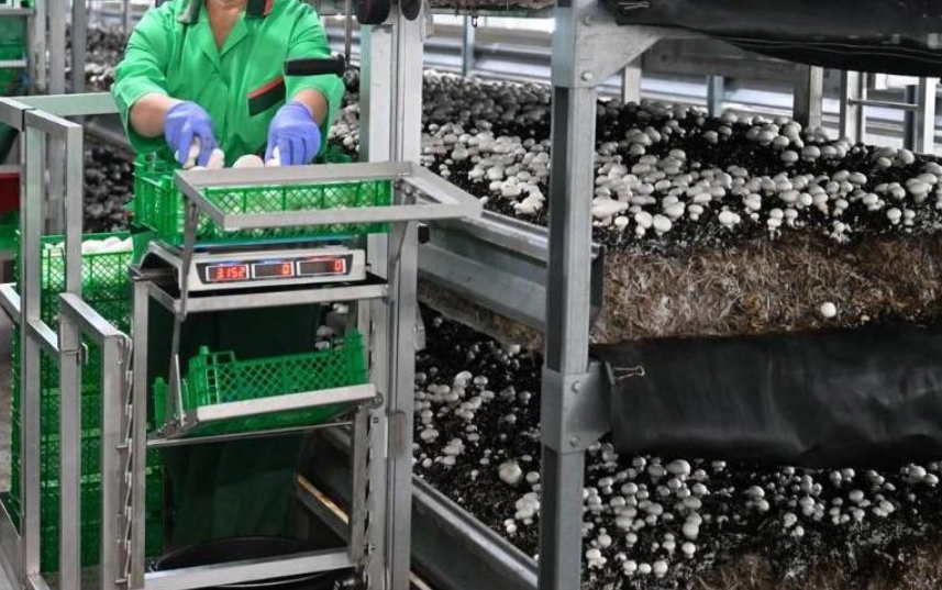 圖片關(guān)鍵詞 圖片關(guān)鍵詞